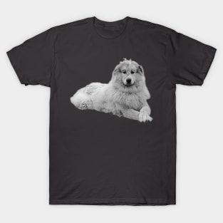 Pyrenees mountain dog T-Shirt